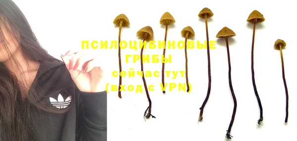 марки nbome Бугульма