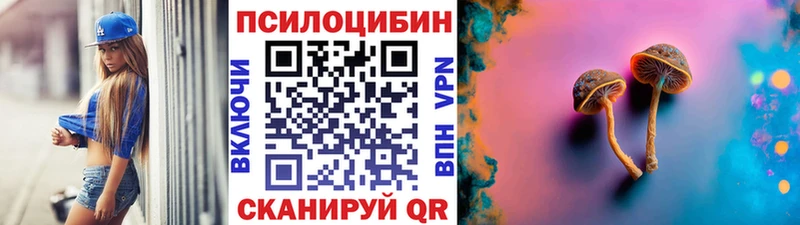 Псилоцибиновые грибы GOLDEN TEACHER  цена   это наркотические препараты  Кодинск 